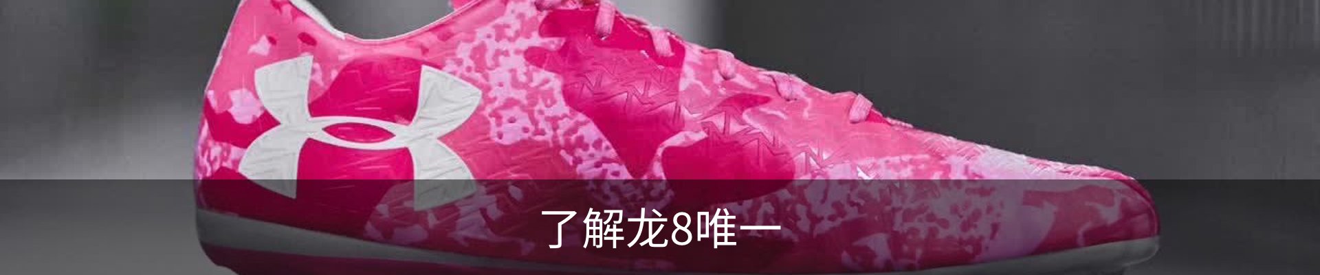 了解龙8唯一
